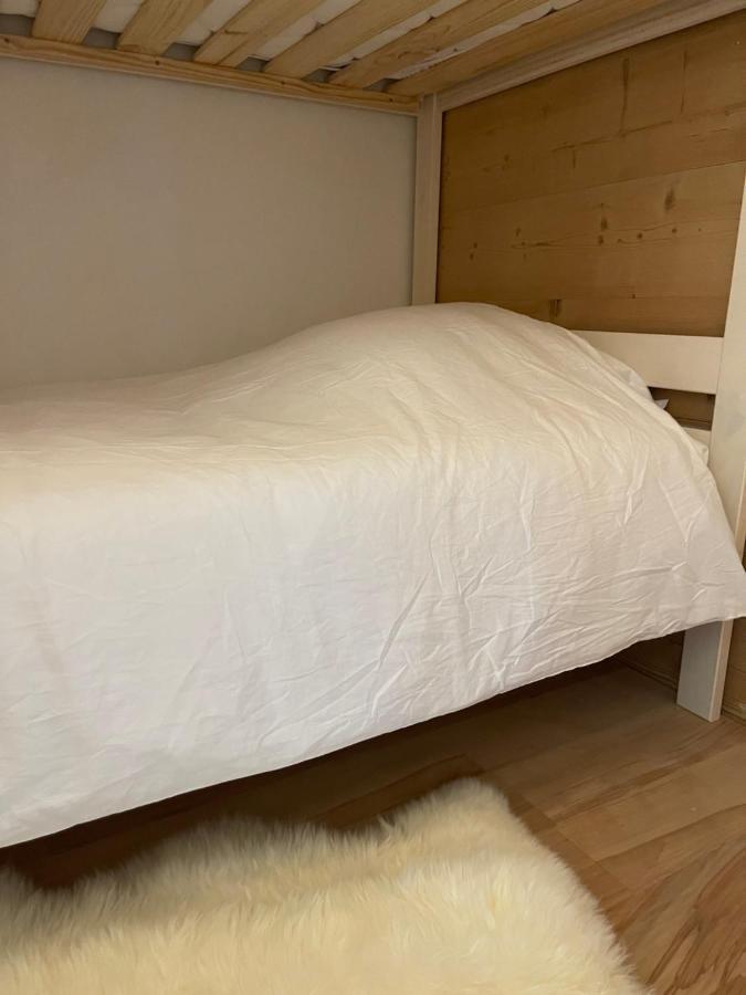 Morzine : Bel Appartement A 5 Mn Du Telepherique Экстерьер фото